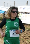 gall_287.jpg