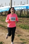 gall_307.jpg