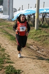 gall_316.jpg
