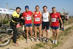 gall_329.jpg