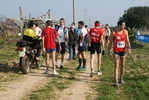 gall_332.jpg