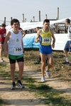 gall_355.jpg