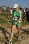 gall_356.jpg