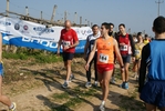 gall_379.jpg