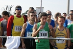 gall_382.jpg
