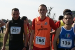 gall_384.jpg