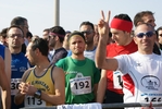 gall_386.jpg