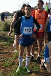 gall_390.jpg