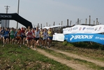 gall_410.jpg