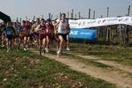 gall_413.jpg