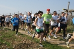 gall_426.jpg