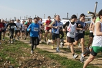 gall_427.jpg