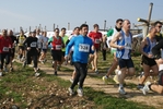 gall_428.jpg