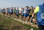 gall_430.jpg