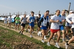 gall_432.jpg