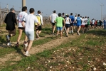 gall_438.jpg