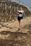 gall_455.jpg