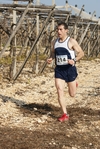 gall_456.jpg