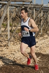 gall_457.jpg