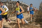 gall_467.jpg