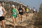 gall_490.jpg