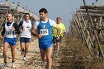 gall_542.jpg