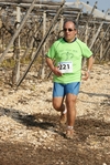 gall_574.jpg