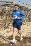 gall_581.jpg