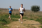 gall_595.jpg
