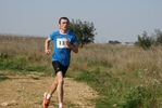 gall_597.jpg