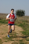 gall_614.jpg