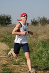gall_620.jpg