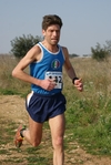 gall_628.jpg