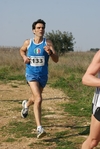 gall_635.jpg