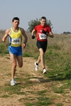 gall_642.jpg