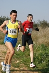 gall_643.jpg