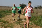gall_648.jpg