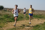 gall_651.jpg