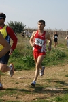 gall_661.jpg