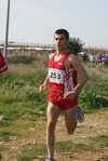 gall_662.jpg