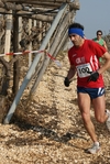 gall_719.jpg
