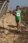 gall_722.jpg