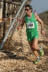 gall_723.jpg