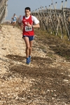 gall_726.jpg
