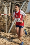 gall_728.jpg