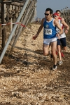 gall_734.jpg