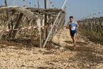 gall_744.jpg