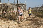 gall_748.jpg