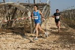 gall_752.jpg