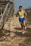 gall_758.jpg